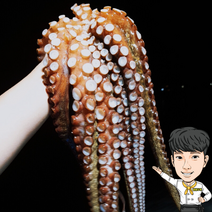 통영 자연산 활돌문어 1kg 1.2kg 1.5kg 1.8kg 꿀꿀도매, 1.8kg(제수용한마리), 1개