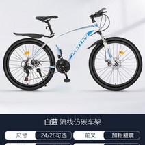 영국 필립스 다혼스피드D9 제트스트림 사바파이크 k3 팻바이크 티티카카 자이언트 giant 펫 SUVD6 몽구스 mtb 유사브롬톤 풀샥, P24단, 24인치