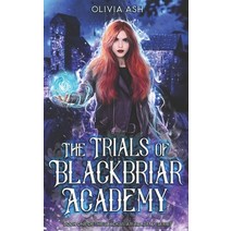 (영문도서) The Trials of Blackbriar Academy: an academy fantasy romance adventure series Paperback, S. M. Boyce, English, 9781939997890