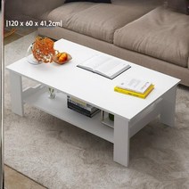 2단 좌식 거실 테이블 단풍나무 북유럽스타일 모던 심플 가정용 사무실용 소형 낮은 테이블, 집회, P49-스프레이세럼챔버120x60 웜화이트