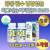 식약청인증 마그네슘 비타민 B1 B2 보조제 90정 x 2통 데일리 하루 한알 물과 함께 섭취 건강 관리 B6 비원 비투 비식스 Bcomplex 비군 B군 무기질 부모님 아버지 어머니 학생 가족