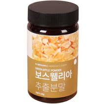 한바른식품연구소 보스웰리아 추출분말, 100g, 1개