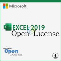 마이크로소프트 2019 Excel 라이센스