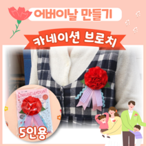 어린이집 카네이션 만들기 브로치 코사지 5인용 어버이날 키트 HA2203 초등 유아 diy kit 단체미술 초등만들기키트 집콕놀이