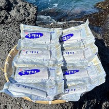 제주직송 제주은갈치 특대 400g 1마리 4토막, 특대1마리 4토막
