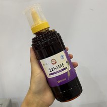금산88홍삼 도라지청 500g, 1개