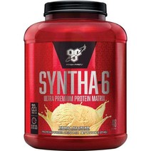 BSN 비에스엔 프로틴 파우더 SYNTHA-6 바닐라 아이스크림 48회, 1개, 1