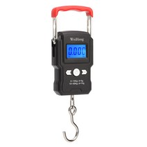 50kg/5g 휴대용 미니 전자 교수형 저울 디지털 디스플레이 백라이트 핸드 헬드 수하물 가중치 저울 낚시 여, 01 50kg  5g