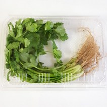 고수 50g 고수나물 향신료, 1개