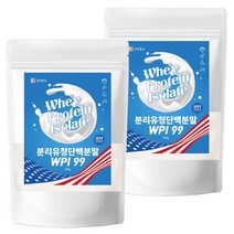 WPI 분리유청 단백질 분말 가루 500g, 2개입