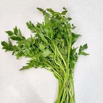 [루디번니]미나리 밭미나리 하우스미나리 미나리1kg 미나리4kg 미나리2키로 미나리한박스 미나리택배 봄나물 봄채소 미나리무침 미나리쌈 청주미나리 미나리3키로 미나리1키로, 하우스 밭미나리 1kg, 1개