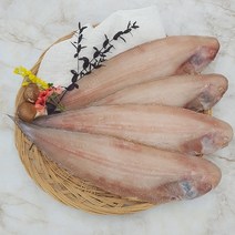 부산 반건조 생선 서대 박대 반찬용 제수용 조림용, 중3~4마리(30~33cm/400g내외)