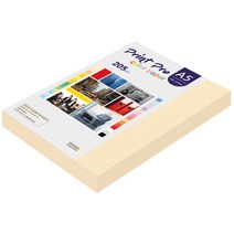 종이문화 프린트프로 칼라복사지 A5 205g No.02 아이보리 100매