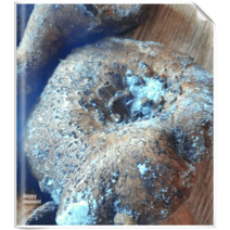 건강한 밥상 국내산 손질 특급 냉동능이버섯1kg