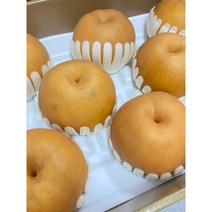 나주 햇배 신고(특) 5kg, 1박스, 8-10과