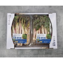 강원도 두릅 봄나물 땅두릅 산지직송, 300g