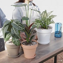 작은정원 홈가드닝 베란다 물빠짐 국산 화분 2호 4호 5호 힐링 감성 실내 인테리어, 라이트브라운