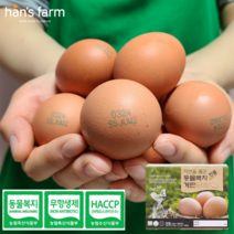 한스팜 난각번호 2번 업체직송 동물 복지 계란 코스트코 달걀 40구 케이지프리