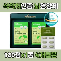 징코 은행잎 은행 추출물 뇌 두뇌 브레인 기억력 혈액 순환 혈행 개선 향상 증진 플라보놀배당체 빌로바 GINKGO BILOBA 식약처인증 식약청인증 실버 캡슐 알약 정, 1개, 120정, 120정