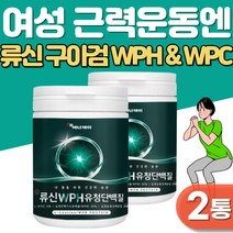 여성단백질보충제 WPH 유청단백 구아검 가수분해물 류신 루신 식물성 단백질 WPC 프로틴 헬스보충제 분말