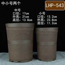 귀여운 작은 화분 책상 동물 아악무 미니 작은 듀가르손 다육 다육이 만손초 초미니, 제비꽃, 색상/사이즈/수량 위쪽 이미지 기준