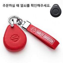 오토바이 할리 유도 키 세트 스트리트 파이터 할리 X48XL883/1200 글라이딩 팻 보이 원격 제어 키 체인, 레드