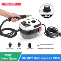 해빙기 고온 고압 스팀 청소기 2500w 홈 살균 에어컨 주방 후드 자동차 김이 나는 110220v, 하얀, 220v, 영국