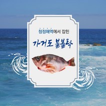 산지직송 신선한 가거도 불볼락 생선구이 생선요리, 가거도 불볼락 3미