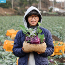 [농부 제주규리] 제주 서쪽 농장 직송 아삭하고 달달한 콜라비 5kg 10kg, 콜라비 소과 10kg (22~25개)