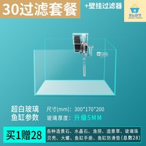 가정용 튼튼한 아크릴어항 관상어 열대어 어항세트 어항 수족장 조립식 관상용 플라스틱 미니 수족관 분양 계단식어항 물고기키우기 물멍 물고기, 300x170x200mm 화이트 필터 세트+벽걸이 필터