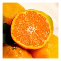 [누리원] 새콤달콤 제주 조생 노지감귤 5kg(S-M), 상세 설명 참조