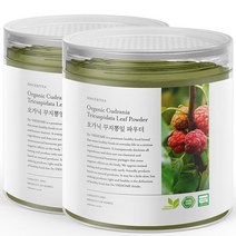 닥터비옴 100% 유기농 꾸지뽕 분말 100g x 2개, 1세트 (2개입)