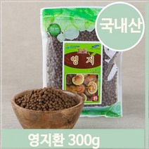 국내산 영지환 영지버섯 간편섭취 환 건강환 300g