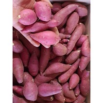 알뜰농장 2023년 햇 꿀 밤고구마 소소 쫄 한입크기 고당도 상품(가장작은크기) 5kg 10kg 20박스한정 전남 해남.무안작업, 2023 햇꿀밤고구마 소소 한입 10kg내외, 1box