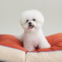 구름쿠션 뜯김없는 알러지케어 강아지 고양이 기절방석 오염방지 방수솜, 번트오렌지, 1개