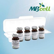 Malachite Green Solution 2%/ MBcell 미생물 배지/ 배지첨가제, 1Ea