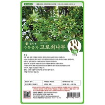 고로쇠나무씨앗(단풍) 15g[AT], 단품