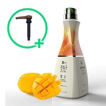 웰파인더진한 망고 1.5kg + 유니버셜소스펌프, 단품
