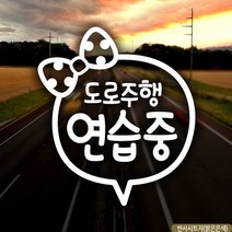 자동차스티커 도로주행연습중 초보운전 반사시트지 초보운전 안전운전 차량용스티커 차량용스티커주문제작 차