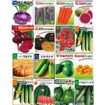 채소씨앗 호박 당근 수박 가지 참외 토마토 비트 오이 아스파라거스 콜라비 단호박 종자 모음세트, 25.미니단 10립