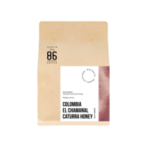 스페셜티 싱글오리진 86커피 콜롬비아 엘 차마날 카투라 허니 미디움로스팅 분쇄 홀빈 원두, 100g, 프렌치프레스