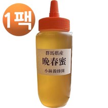 고바야시벌꿀농장 2023년산 늦봄 꿀 군마산 생꿀 500g, 1팩