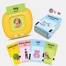 링고키트 말하는 낱말카드 학습기 영어 한글 2개국어 음성 지원+4종 언어팩 224단어 EK01 러닝리소스, 링고키트 EK01 + 4종 언어팩, 혼합색상