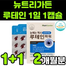 뉴트리가든 루테린 LUTEIN 뉴테인 직장인 청소년 50대 60대 부모님 비타민 A E 베타카로틴 눈 안구 건강 노안 노화 흐림 침침 영양제 추천 아연 마리골드 꽃 추출물 캡슐, 2박스(2개월분)
