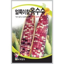 얼룩이찰옥수수 150립 / 혼합 찰 옥수수 씨앗 종자 농작물 텃밭키우기 채소키우기
