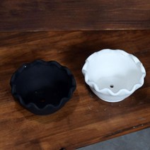 다육이 분갈이용 통풍소재 물구멍토분 에케베리아 물들이기 수연 식물인테리어 목대, 화이트