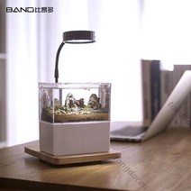 베타키우기 엔젤피쉬 나비파파 블랙고스트 하프문 키우기 오란다금붕어 구피 해수어항세트 해수 4929998849, C 옵션이미지 참조