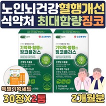 식약처인증 부모님 노인 혈행개선 징코 영양제 부모님 뇌건강 도움 ginko blood circulation 노인 진코 어르신 종합 영양제 비타민 아연 판토텐산 은행잎 플라보놀배당, 2개월분