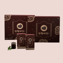 부모님 장모님 장인어른 생신 선물 국내산 상황버섯 차 즙 물 엑기스 액기스 진액 먹는방법 항산화 음식 효능, 60포