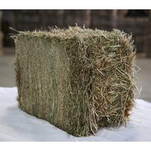 한우축사 건초 버뮤다짚 지푸라기 건초 소 말 염소 지푸라기 급여건초 25kg, 25kg(압축)